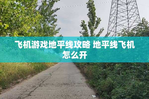 飞机游戏地平线攻略 地平线飞机怎么开