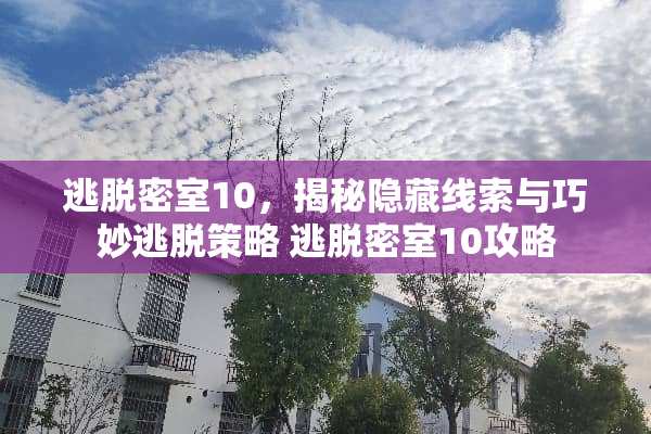 逃脱密室10，揭秘隐藏线索与巧妙逃脱策略 逃脱密室10攻略