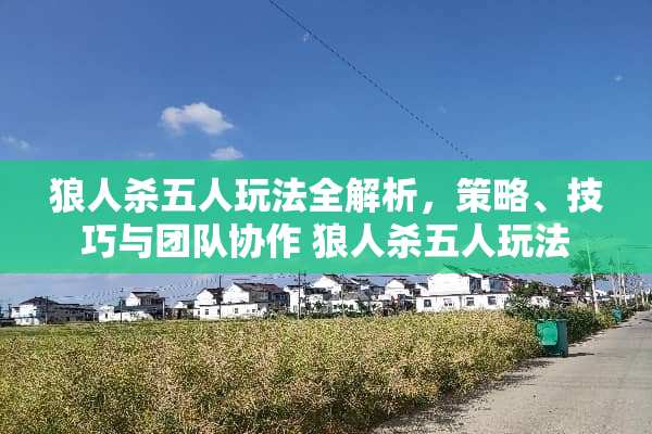 狼人杀五人玩法全解析，策略、技巧与团队协作 狼人杀五人玩法
