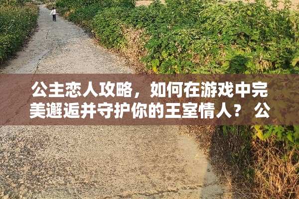 公主恋人攻略，如何在游戏中完美邂逅并守护你的王室**？ 公主恋人攻略