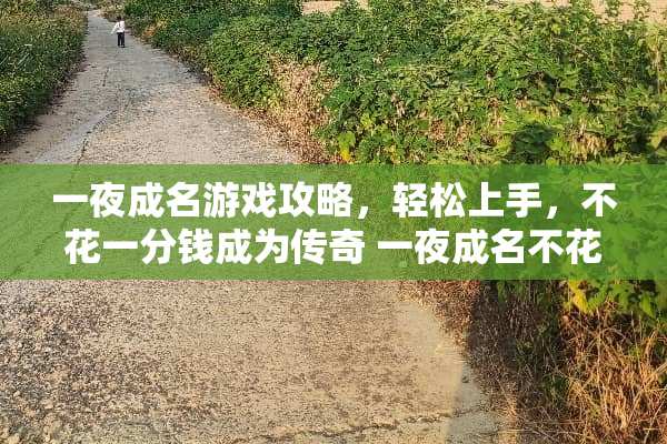 **成名游戏攻略，轻松上手，不花一分钱成为传奇 **成名不花钱玩法
