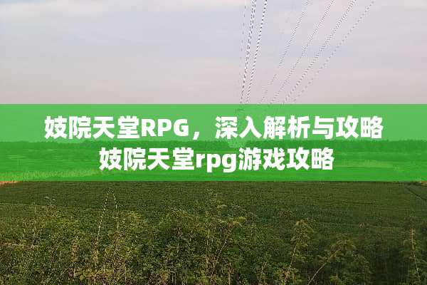 **天堂RPG，深入解析与攻略 **天堂rpg游戏攻略