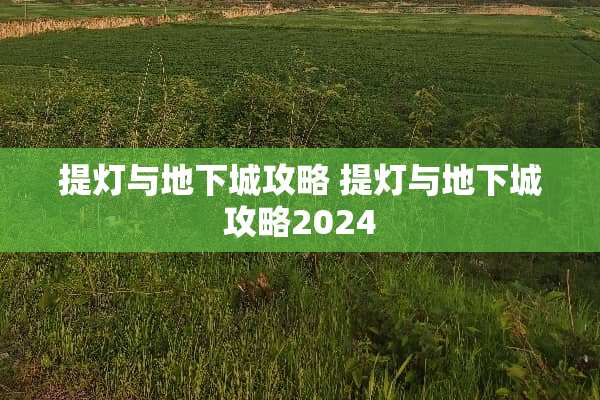 提灯与**城攻略 提灯与**城攻略2024