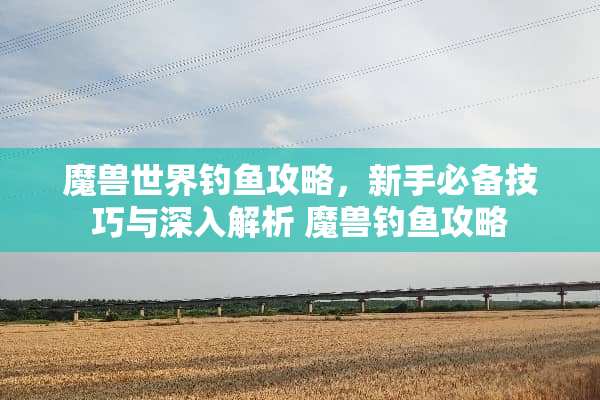 魔兽世界钓鱼攻略，新手必备技巧与深入解析 魔兽钓鱼攻略