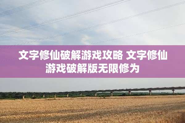 文字修仙**游戏攻略 文字修仙游戏**版无限修为