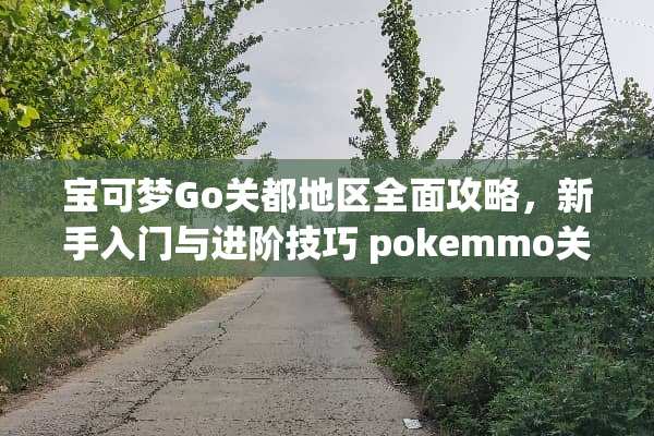 宝可梦Go关都地区全面攻略，新手入门与进阶技巧 pokemmo关都攻略