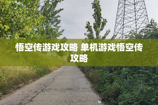 悟空传游戏攻略 单机游戏悟空传攻略
