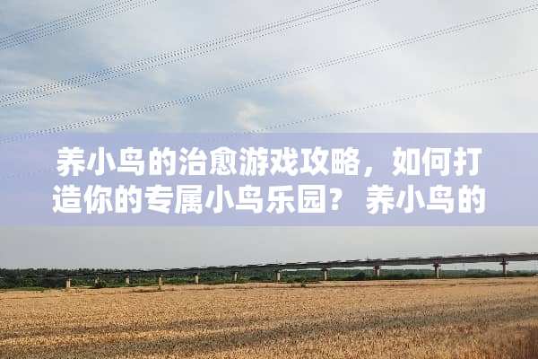 养小鸟的治愈游戏攻略，如何打造你的专属小鸟乐园？ 养小鸟的治愈游戏攻略