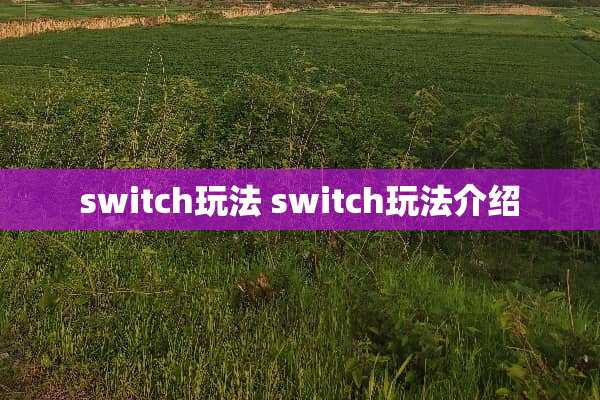 switch玩法 switch玩法介绍