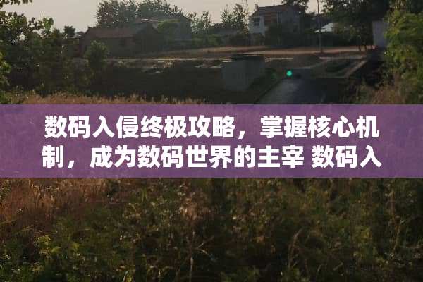 数码入侵终极攻略，掌握核心机制，成为数码世界的主宰 数码入侵攻略