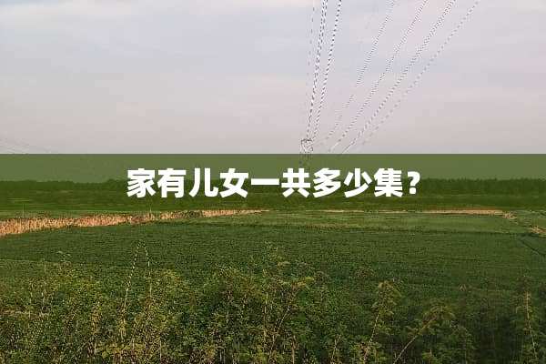 家有儿女一共多少集？