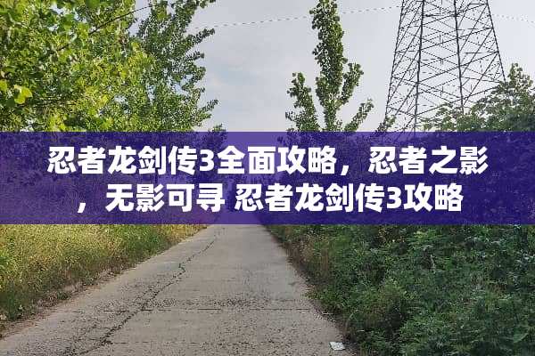 忍者龙剑传3全面攻略，忍者之影，无影可寻 忍者龙剑传3攻略