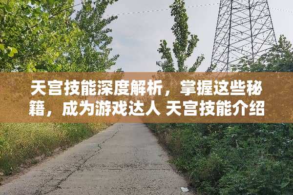 天宫技能深度解析，掌握这些秘籍，成为游戏达人 天宫技能介绍