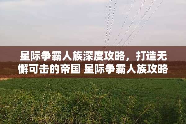 星际争霸人族深度攻略，打造无懈可击的帝国 星际争霸人族攻略