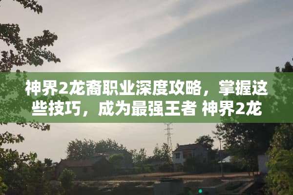 神界2龙裔职业深度攻略，掌握这些技巧，成为最强王者 神界2龙裔攻略