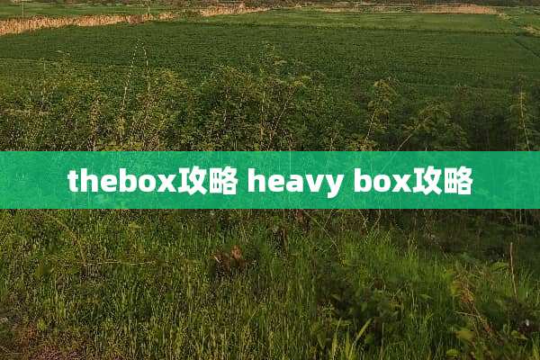 thebox攻略 heavy box攻略