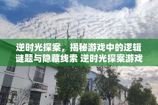 逆时光探案，揭秘游戏中的逻辑谜题与隐藏线索 逆时光探案游戏攻略