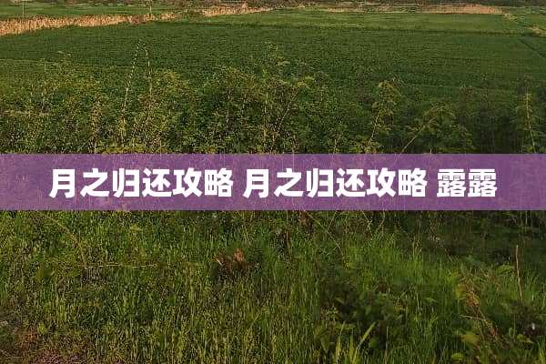 月之归还攻略 月之归还攻略 露露