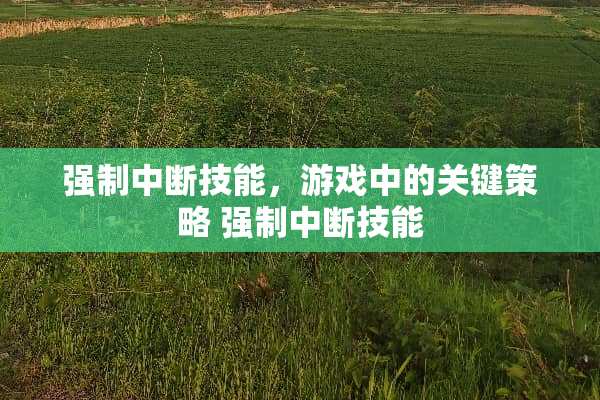 强制中断技能，游戏中的关键策略 强制中断技能