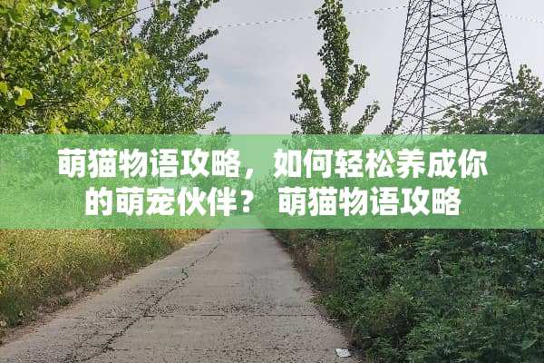 萌猫物语攻略，如何轻松养成你的萌宠伙伴？ 萌猫物语攻略