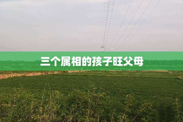 三个属相的孩子旺父母