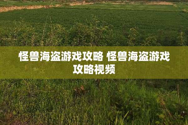 怪兽海盗游戏攻略 怪兽海盗游戏攻略视频