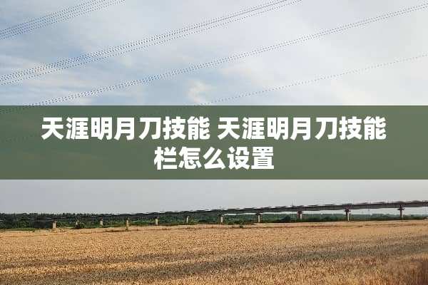天涯明月刀技能 天涯明月刀技能栏怎么设置