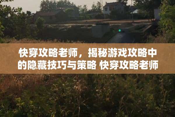 快穿攻略老师，揭秘游戏攻略中的隐藏技巧与策略 快穿攻略老师