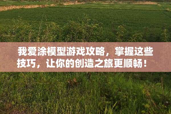 我爱涂模型游戏攻略，掌握这些技巧，让你的创造之旅更顺畅！ 我爱涂模型游戏攻略