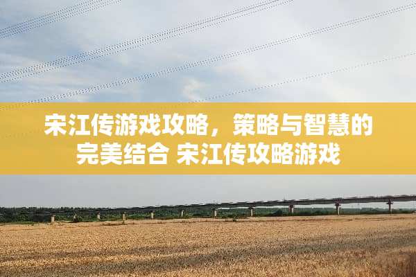 宋江传游戏攻略，策略与智慧的完美结合 宋江传攻略游戏