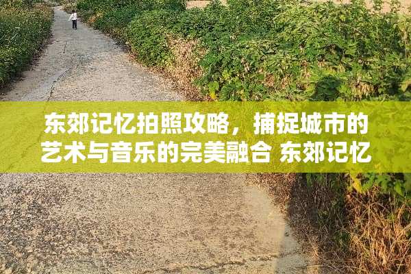东郊记忆拍照攻略，捕捉城市的艺术与音乐的完美融合 东郊记忆拍照攻略