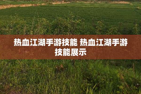 热血江湖手游技能 热血江湖手游技能展示