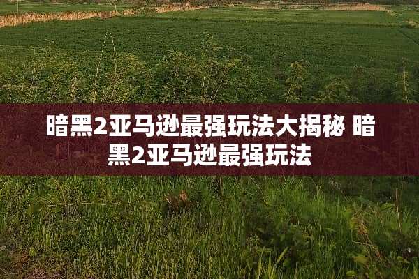 暗黑2亚马逊最强玩法大揭秘 暗黑2亚马逊最强玩法