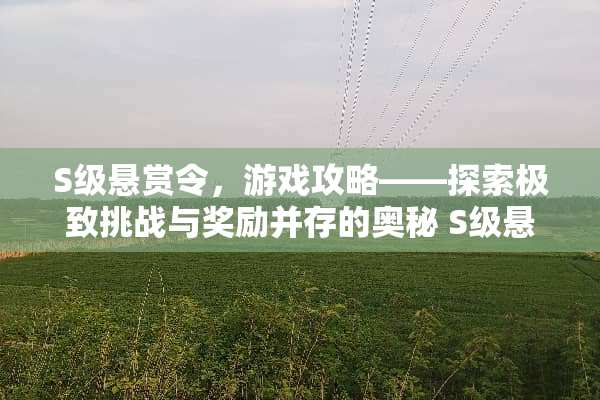 S级悬赏令，游戏攻略——探索极致挑战与奖励并存的奥秘 S级悬赏令游戏攻略