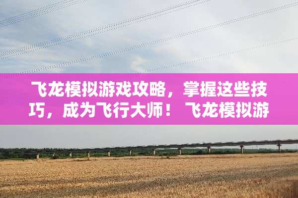 飞龙模拟游戏攻略，掌握这些技巧，成为飞行大师！ 飞龙模拟游戏攻略
