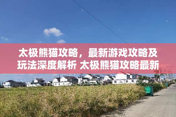 太极熊猫攻略，最新游戏攻略及玩法深度解析 太极熊猫攻略最新