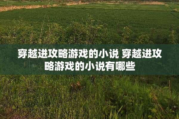 穿越进攻略游戏的小说 穿越进攻略游戏的小说有哪些