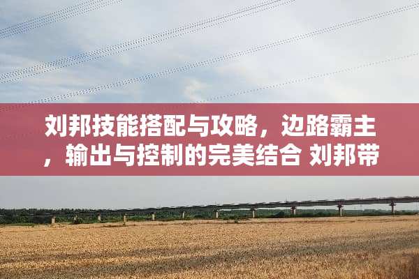 刘邦技能搭配与攻略，边路霸主，输出与控制的完美结合 刘邦带什么技能