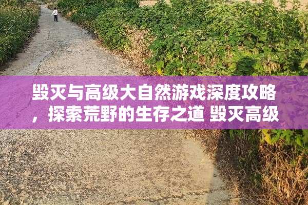 毁灭与高级大自然游戏深度攻略，探索荒野的生存之道 毁灭高级大自然游戏攻略