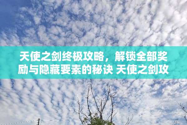 天使之剑终极攻略，解锁全部奖励与隐藏要素的秘诀 天使之剑攻略