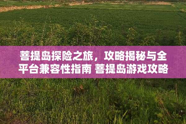 **岛探险之旅，攻略揭秘与全平台兼容性指南 **岛游戏攻略
