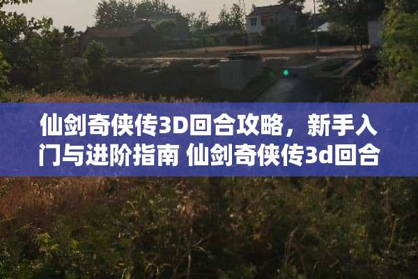 仙剑奇侠传3D回合攻略，新手入门与进阶指南 仙剑奇侠传3d回合攻略