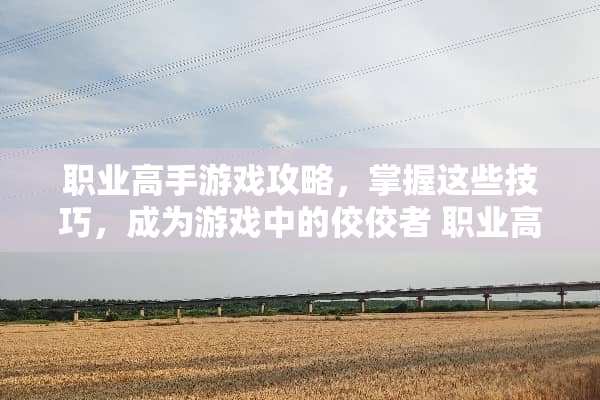 职业高手游戏攻略，掌握这些技巧，成为游戏中的佼佼者 职业高手游戏攻略