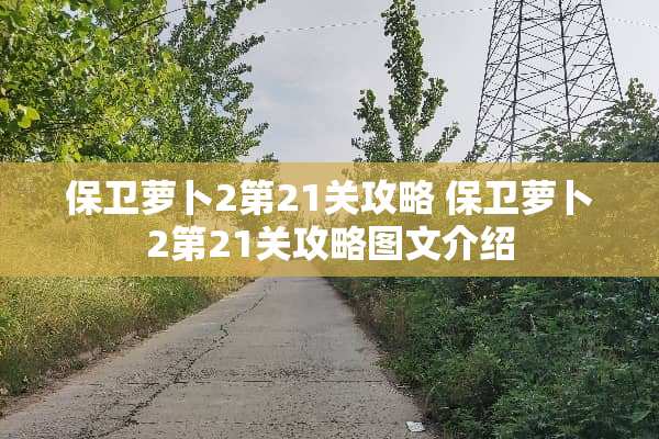 保卫萝卜2第21关攻略 保卫萝卜2第21关攻略图文介绍