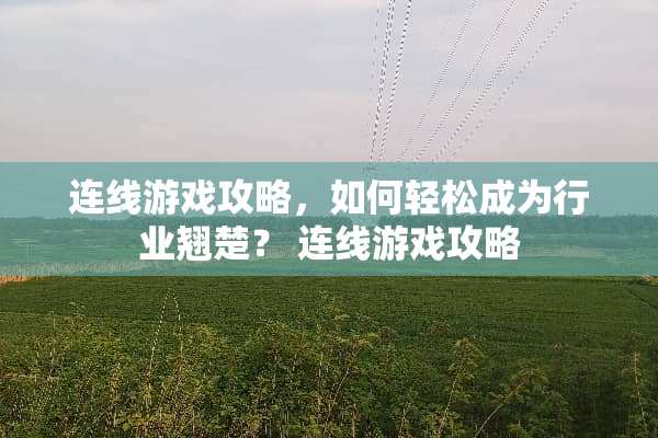 连线游戏攻略，如何轻松成为行业翘楚？ 连线游戏攻略
