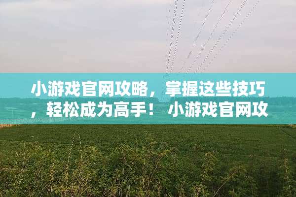 小游戏官网攻略，掌握这些技巧，轻松成为高手！ 小游戏官网攻略