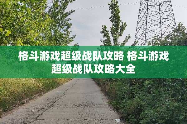 格斗游戏超级战队攻略 格斗游戏超级战队攻略大全