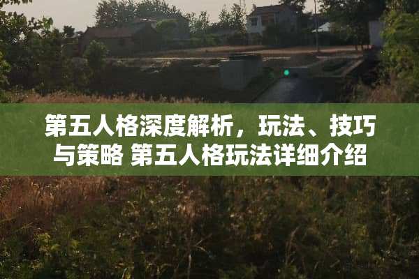 第五人格深度解析，玩法、技巧与策略 第五人格玩法详细介绍