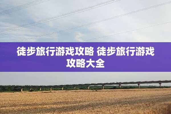 徒步旅行游戏攻略 徒步旅行游戏攻略大全