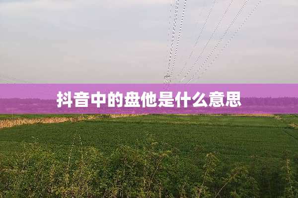 抖音中的盘他是什么意思
